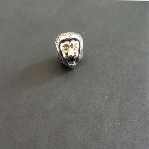 Pandora charm